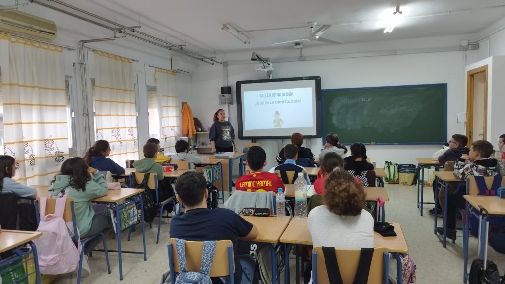 TALLERES ESCOLARES EN AULA. NUESTRO RÍO GUADALQUIVIR. TALLER DE ORNITOLOGÍA