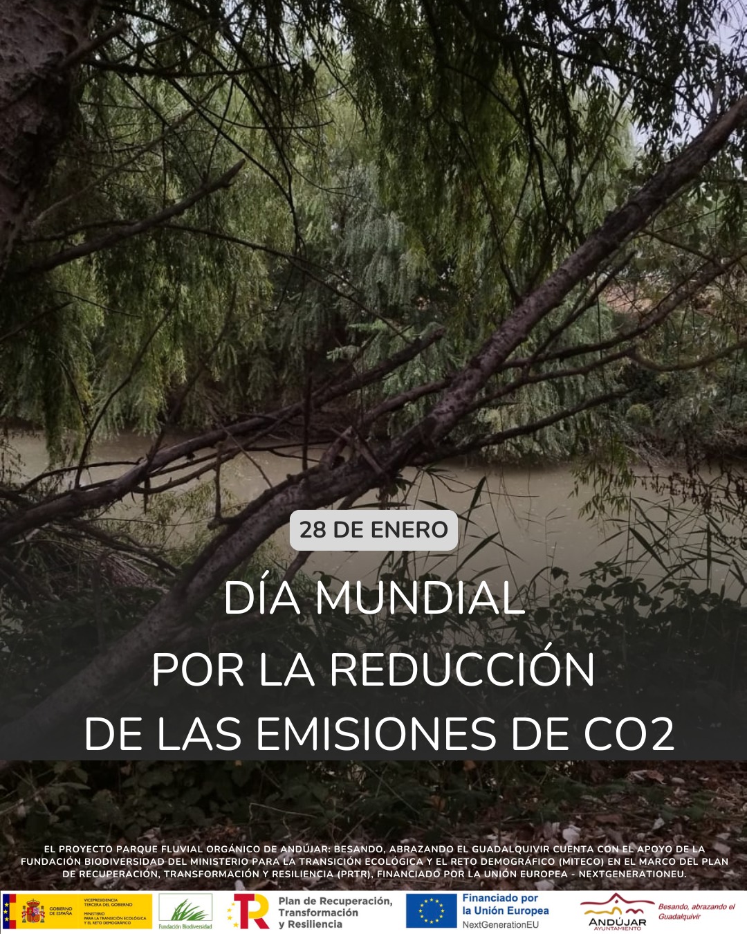 DÍA MUNDIAL POR LA REDUCCIÓN DE LAS EMISIONES DE CO2