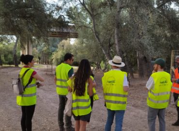 WhatsApp Image 2025-06-20 at 08.24.02