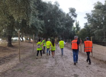 WhatsApp Image 2025-06-20 at 08.24.16 (1)