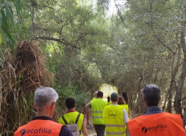 WhatsApp Image 2025-06-20 at 08.24.17 (8)