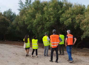 WhatsApp Image 2025-06-20 at 08.24.22