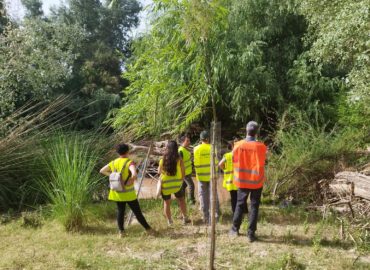 WhatsApp Image 2025-06-20 at 10.31.33 (1)