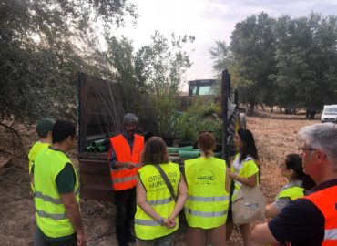 WhatsApp Image 2025-06-23 at 12.51.41