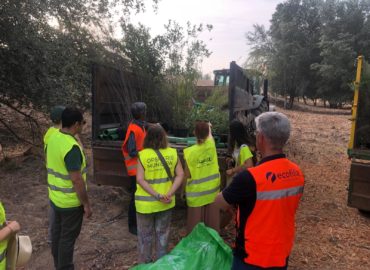 WhatsApp Image 2025-06-23 at 12.51.42