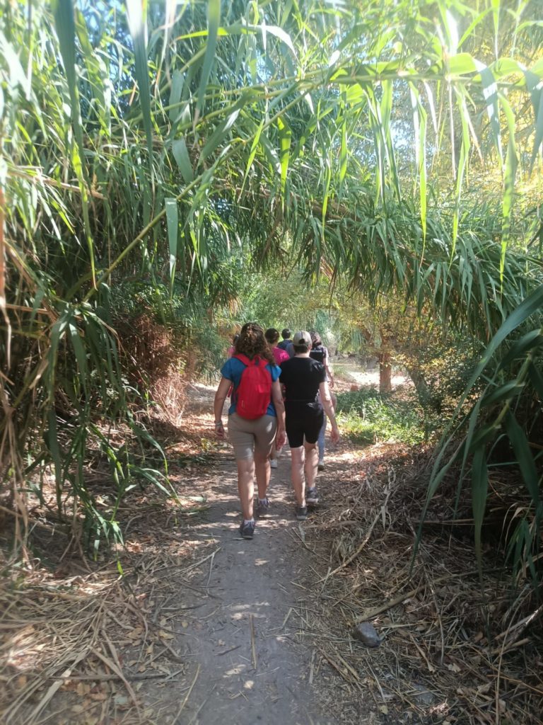 WhatsApp Image 2025-09-14 at 11.26.36 (1)