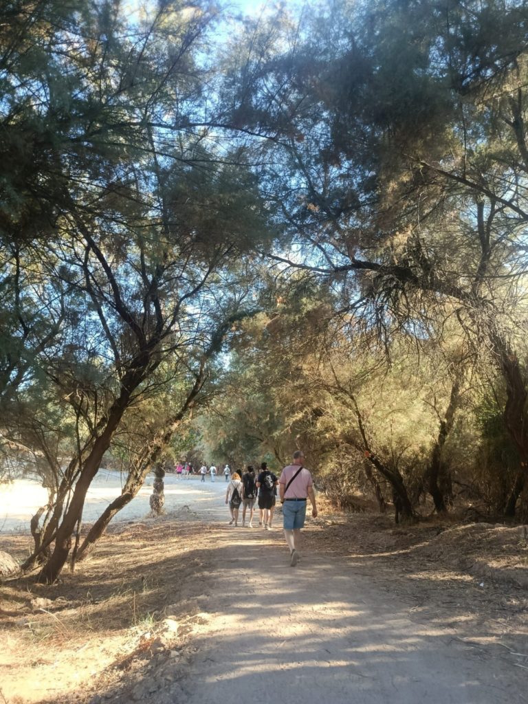 WhatsApp Image 2025-09-14 at 13.25.15 (1)