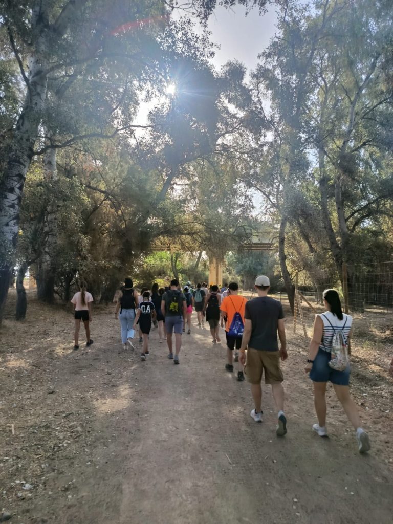 WhatsApp Image 2025-10-29 at 20.04.04 (1)