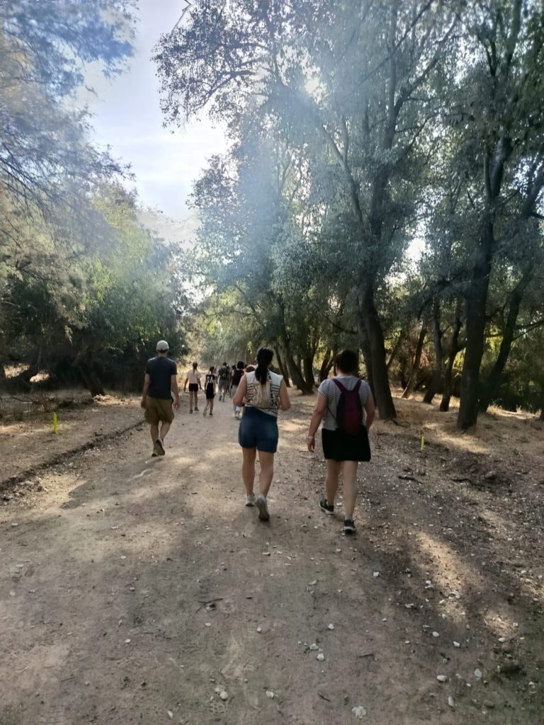 WhatsApp Image 2025-10-29 at 20.04.05