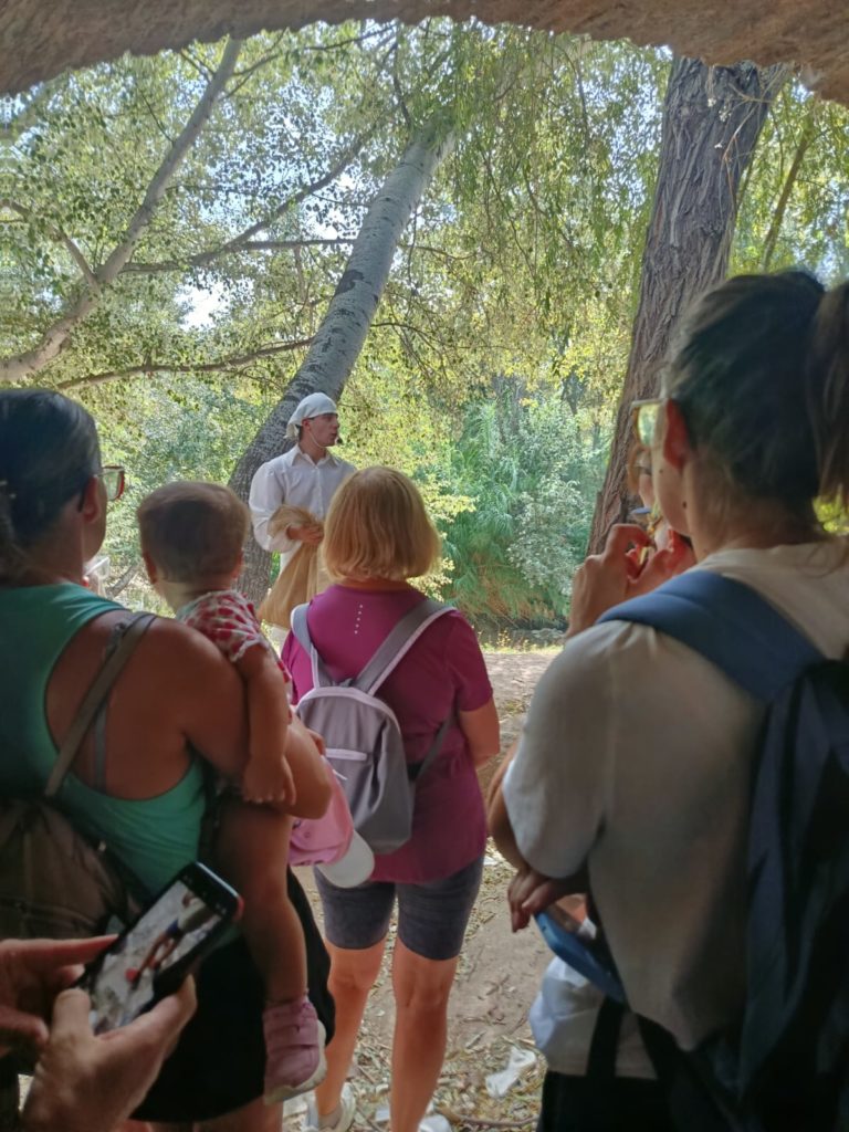 WhatsApp Image 2025-10-29 at 20.04.09