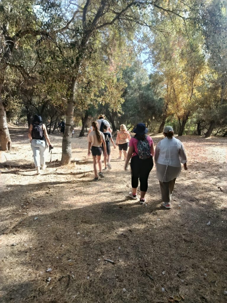 WhatsApp Image 2025-10-29 at 20.04.13