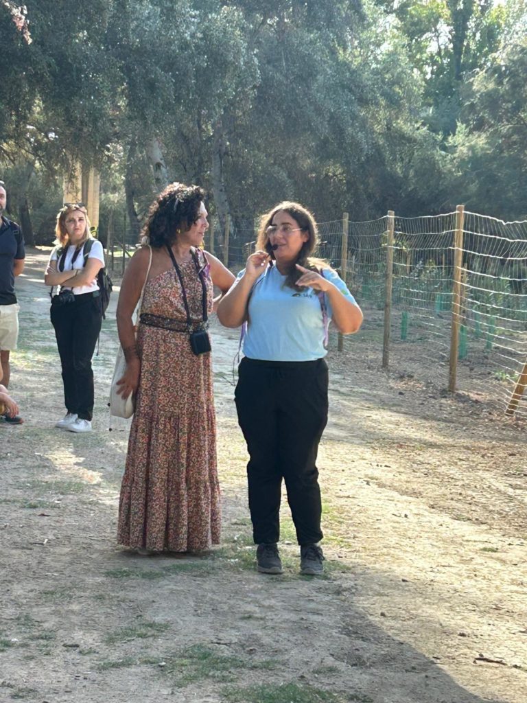 WhatsApp Image 2025-10-29 at 20.04.14 (1)