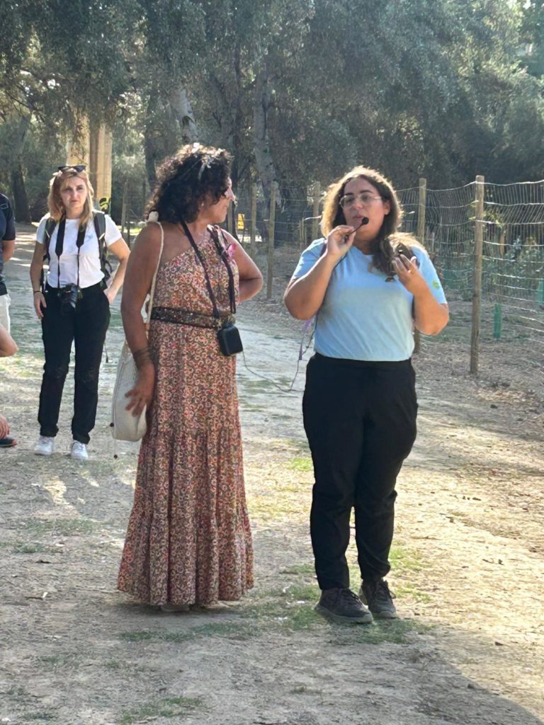 WhatsApp Image 2025-10-29 at 20.04.16