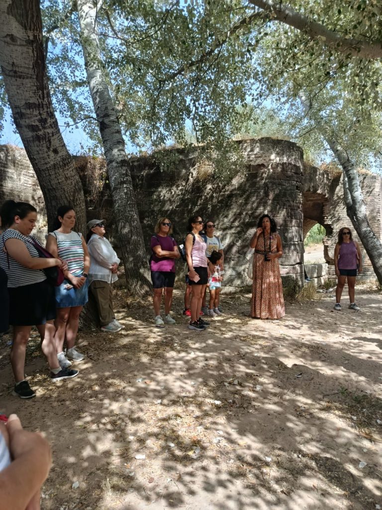 WhatsApp Image 2025-10-29 at 20.04.22