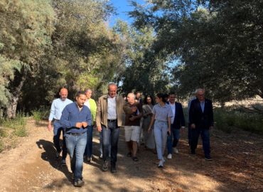 WhatsApp Image 2025-12-23 at 14.40.28