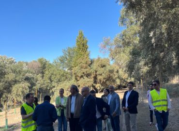 WhatsApp Image 2025-12-23 at 14.40.31