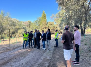 WhatsApp Image 2025-12-23 at 14.41.28