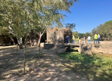 WhatsApp Image 2025-12-23 at 14.41.38