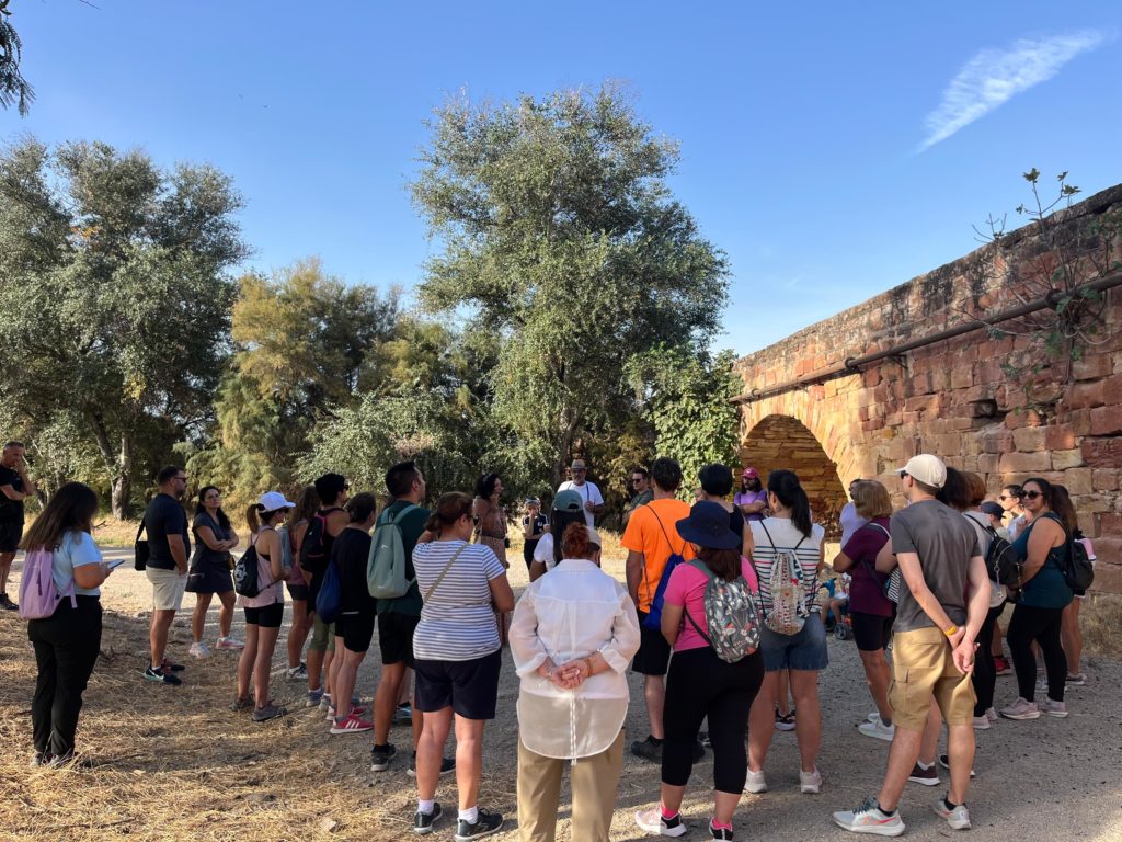 WhatsApp Image 2025-12-23 at 14.42.14