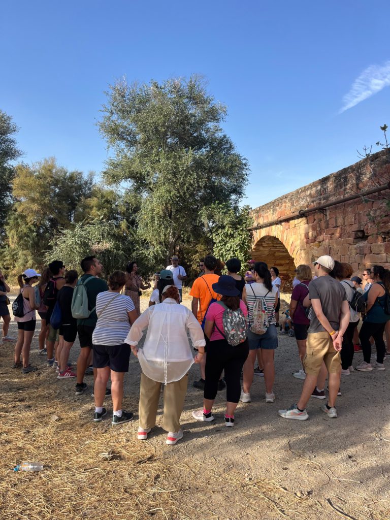 WhatsApp Image 2025-12-23 at 14.42.16