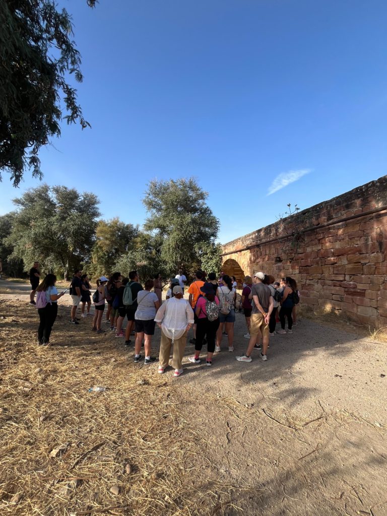 WhatsApp Image 2025-12-23 at 14.42.17