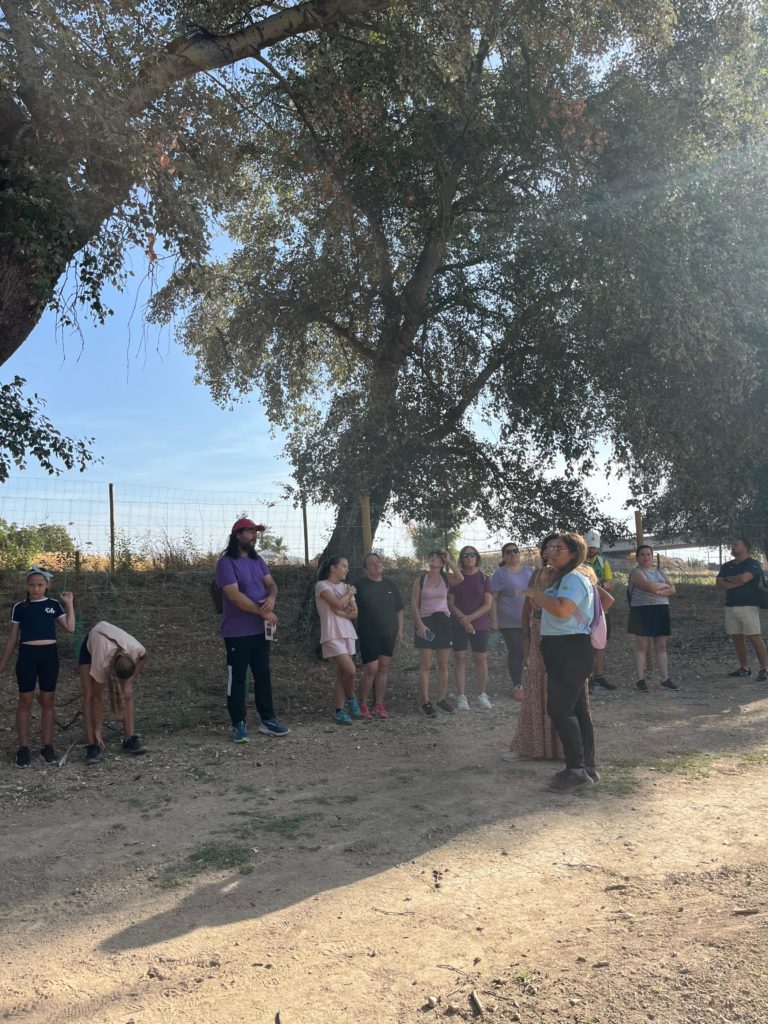 WhatsApp Image 2025-12-23 at 14.42.49 (1)