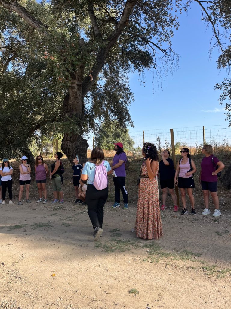 WhatsApp Image 2025-12-23 at 14.42.49