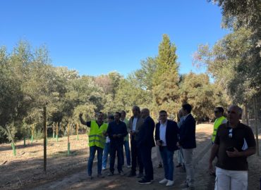 WhatsApp Image 2025-12-23 at 14.43.11 (1)