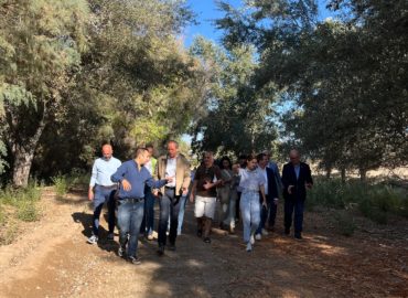 WhatsApp Image 2025-12-23 at 14.43.11