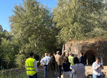 WhatsApp Image 2025-12-23 at 14.43.12 (1)