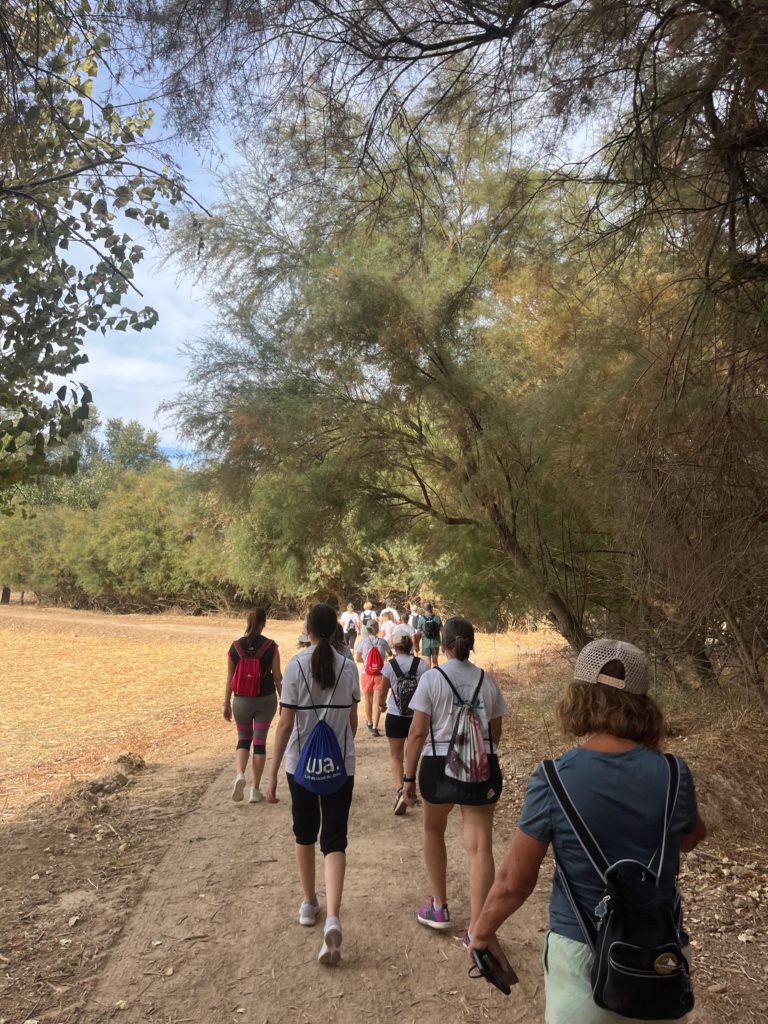 WhatsApp Image 2025-12-25 at 20.20.42 (1)