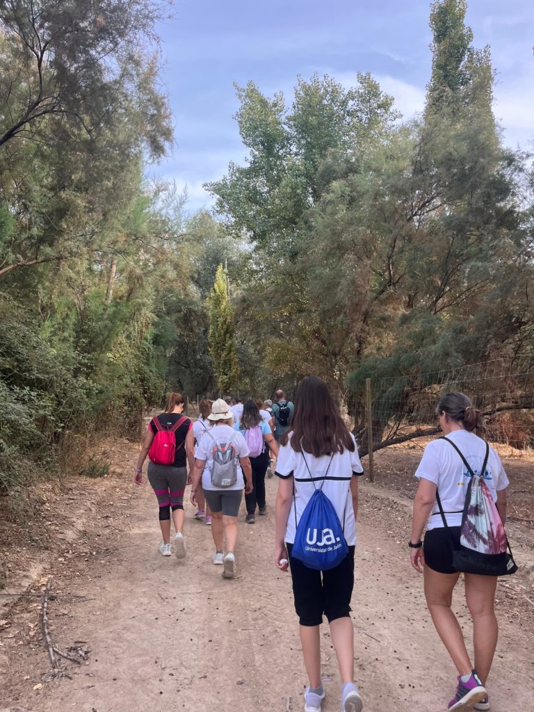 WhatsApp Image 2025-12-25 at 20.21.22