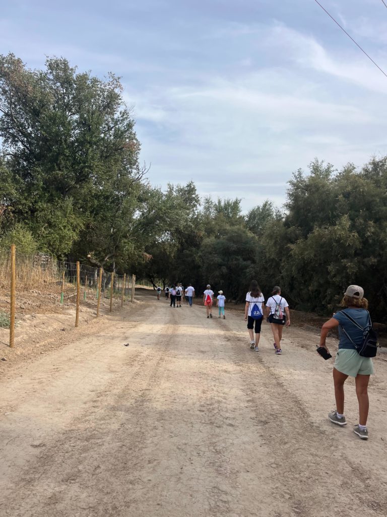 WhatsApp Image 2025-12-25 at 20.21.23 (1)