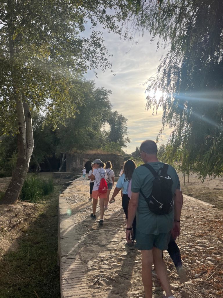 WhatsApp Image 2025-12-25 at 20.21.28