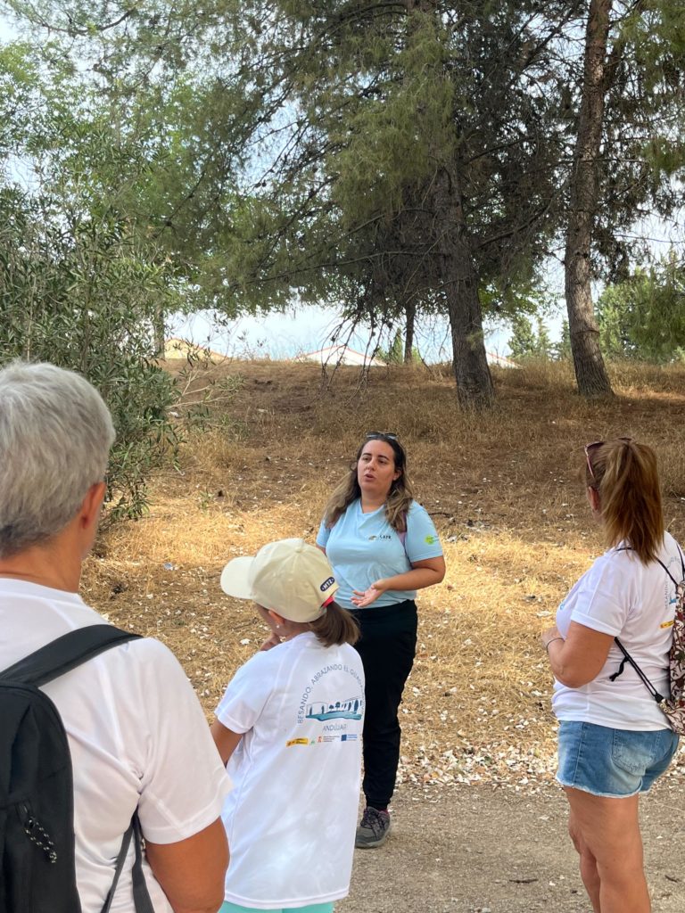 WhatsApp Image 2025-12-25 at 20.21.34 (1)