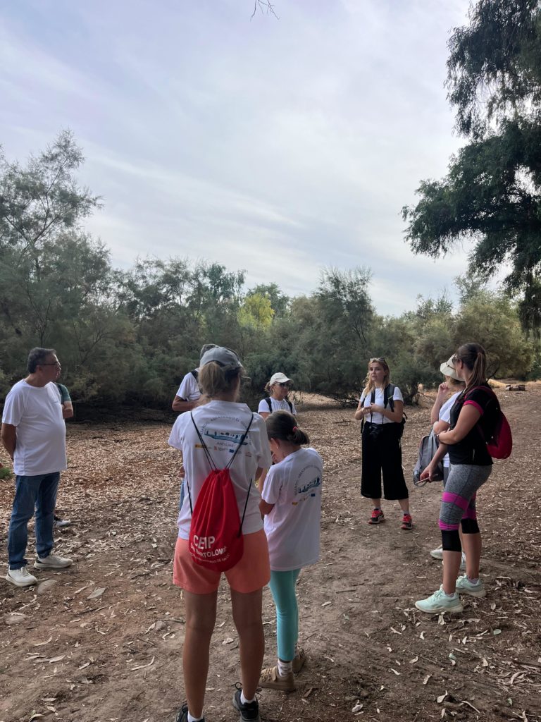 WhatsApp Image 2025-12-25 at 20.21.37 (1)