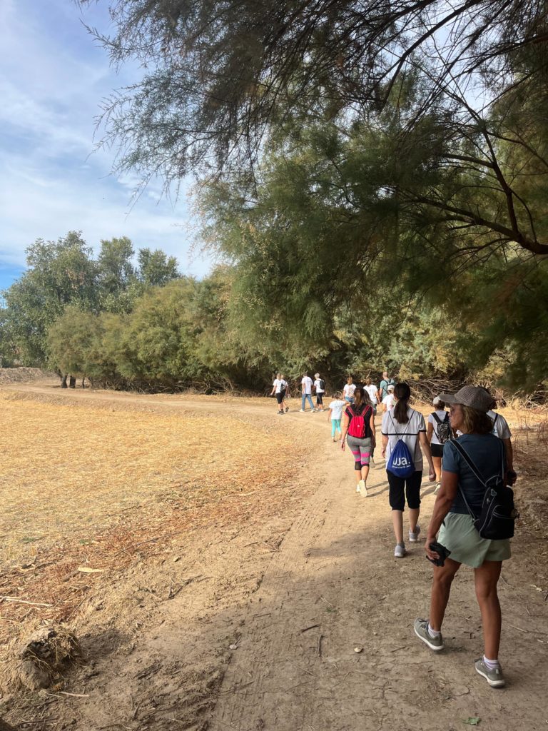 WhatsApp Image 2025-12-25 at 20.21.38