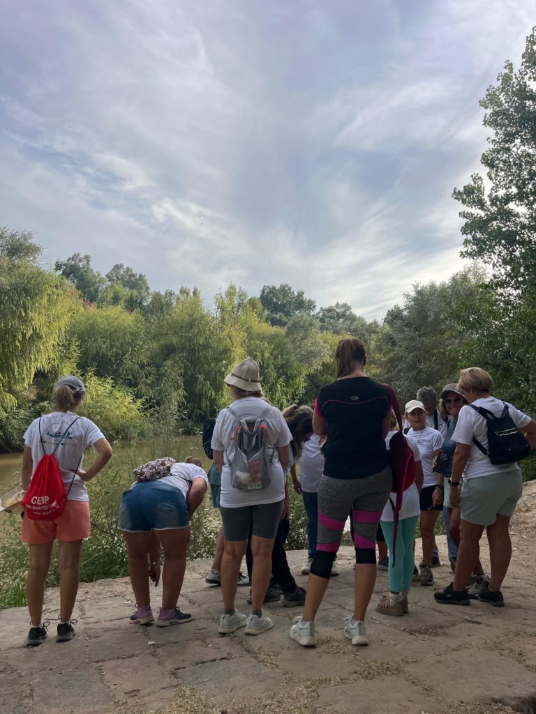 WhatsApp Image 2025-12-25 at 20.21.42