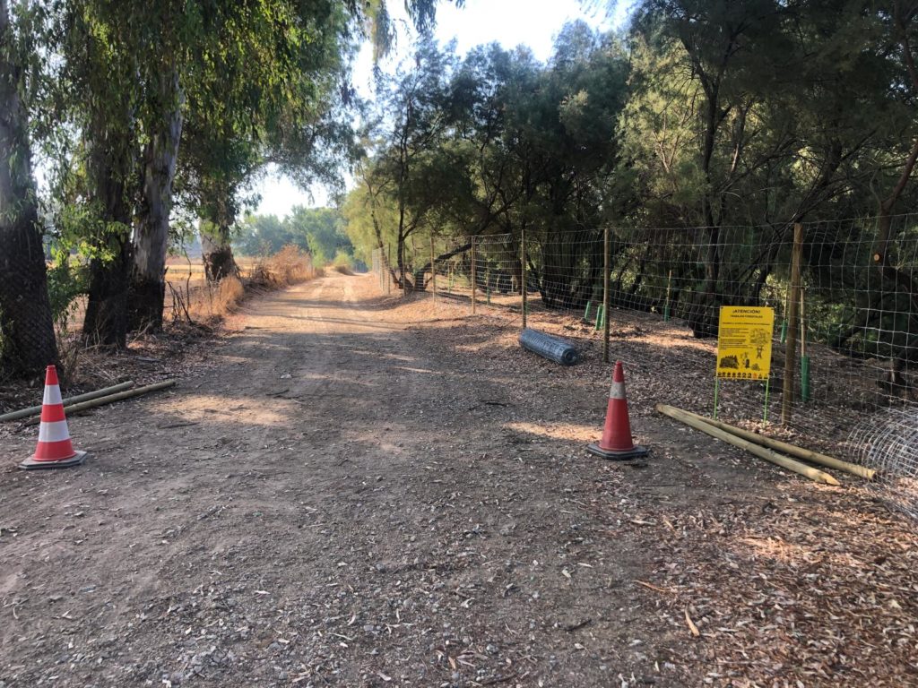 WhatsApp Image 2025-12-31 at 16.43.06 (1)