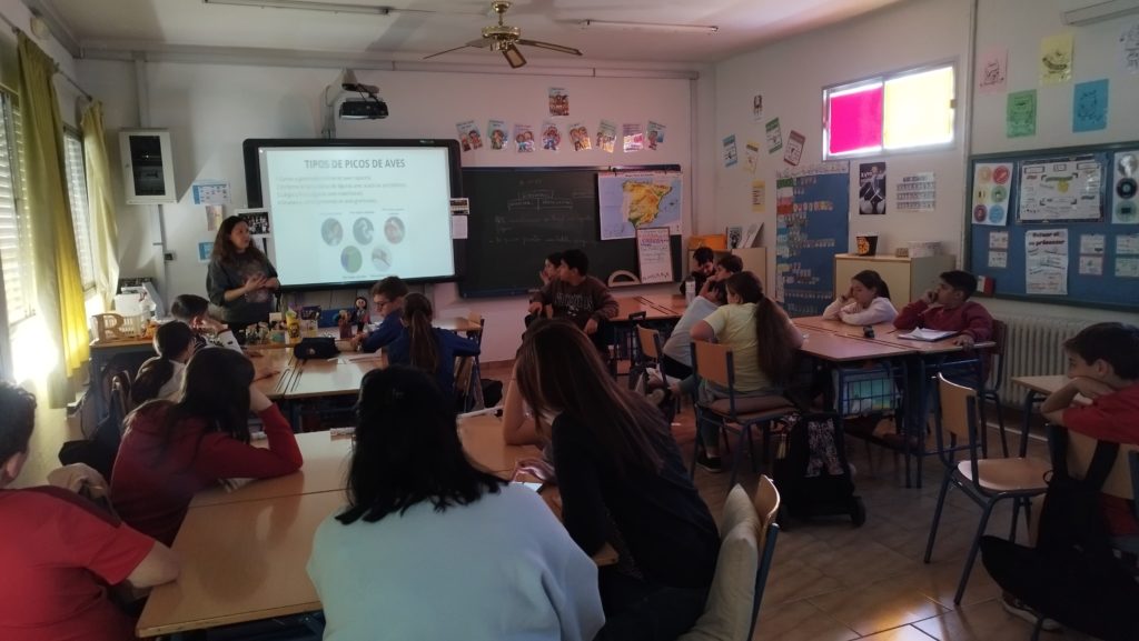 WhatsApp Image 2025-04-04 at 11.36.24 (1)