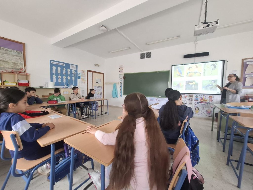 WhatsApp Image 2025-04-10 at 15.52.13 (5)