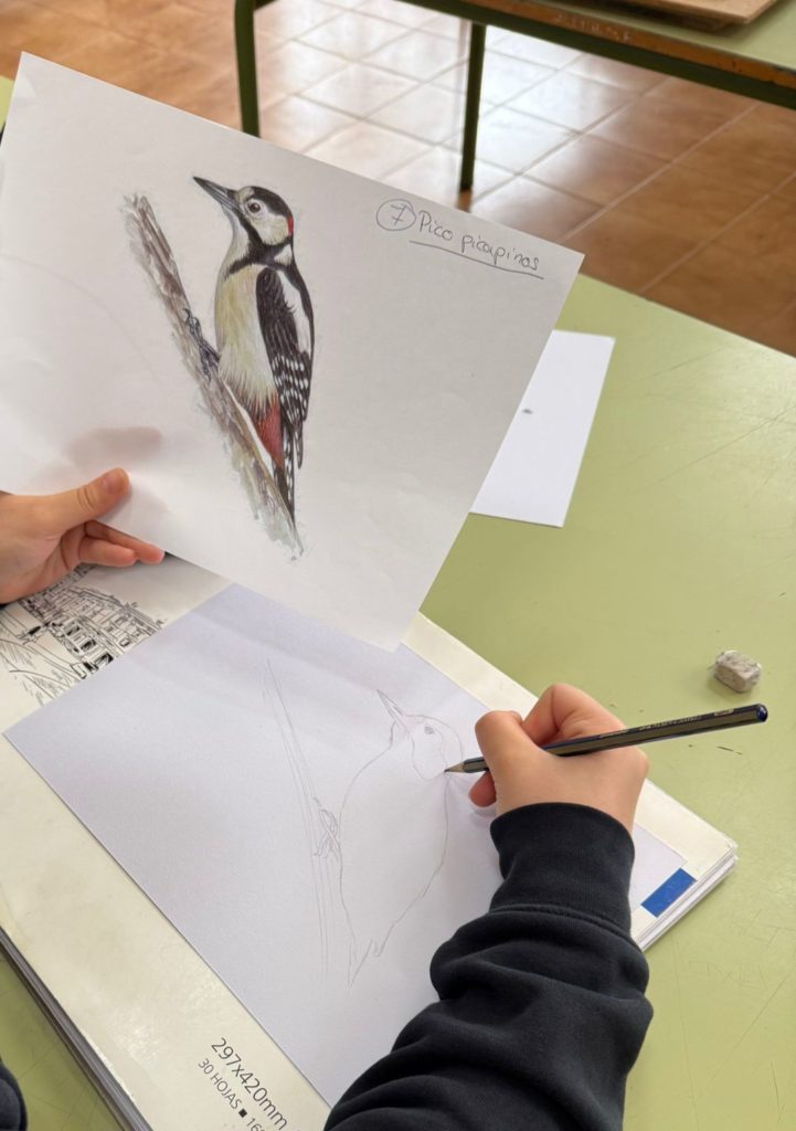 WhatsApp Image 2025-05-07 at 09.41.38