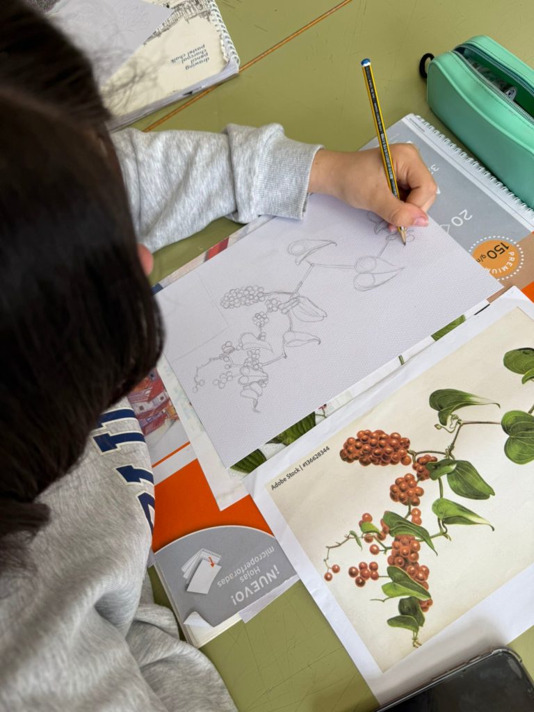 WhatsApp Image 2025-05-07 at 09.41.39 (3)