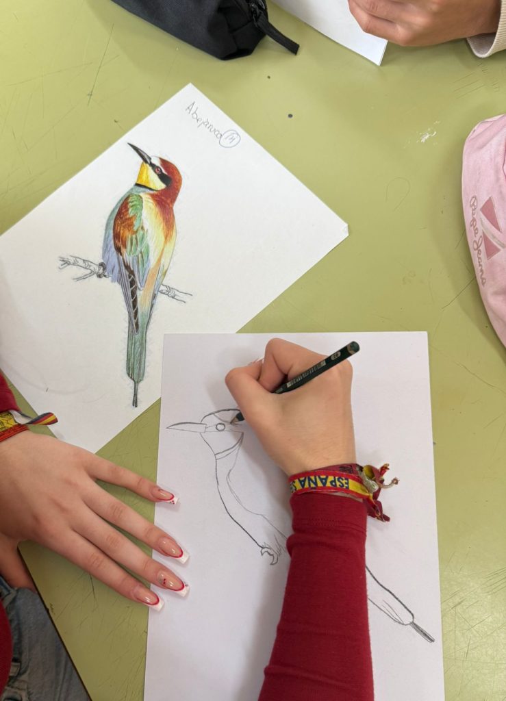 WhatsApp Image 2025-05-07 at 09.41.39