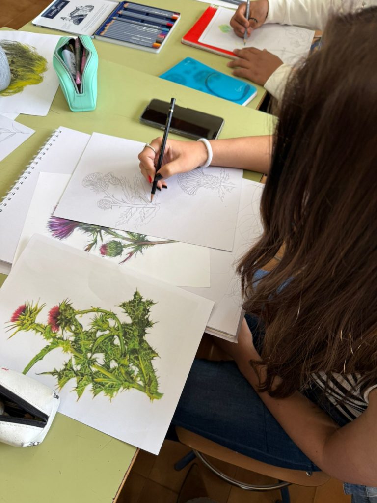 WhatsApp Image 2025-05-07 at 09.41.40 (1)