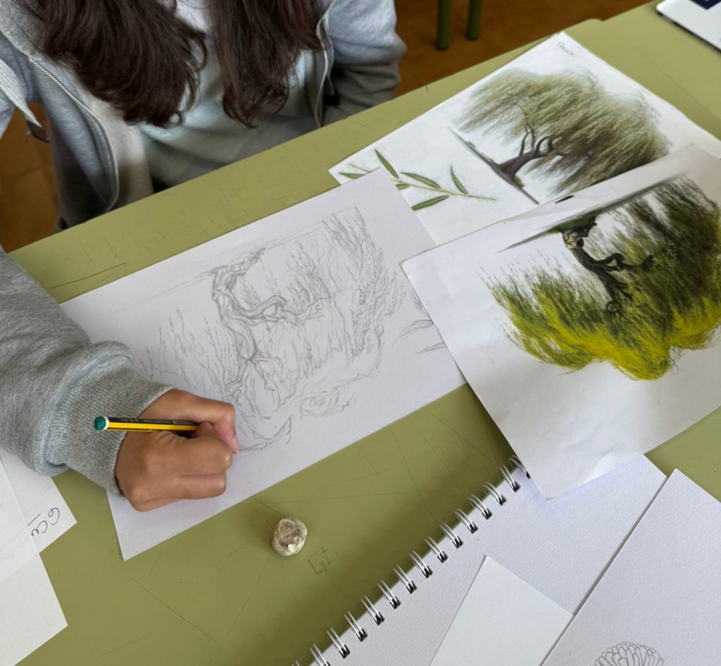 WhatsApp Image 2025-05-07 at 09.41.40 (2)