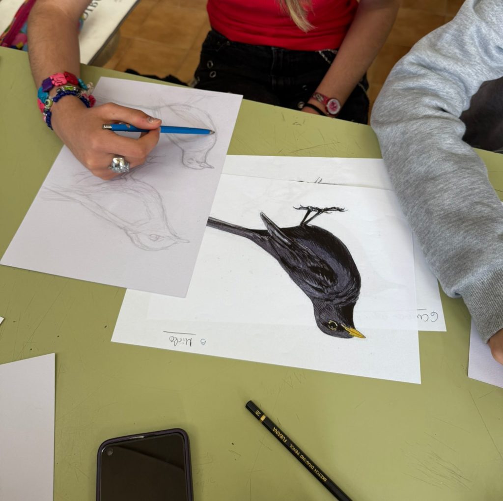 WhatsApp Image 2025-05-07 at 09.41.40 (3)