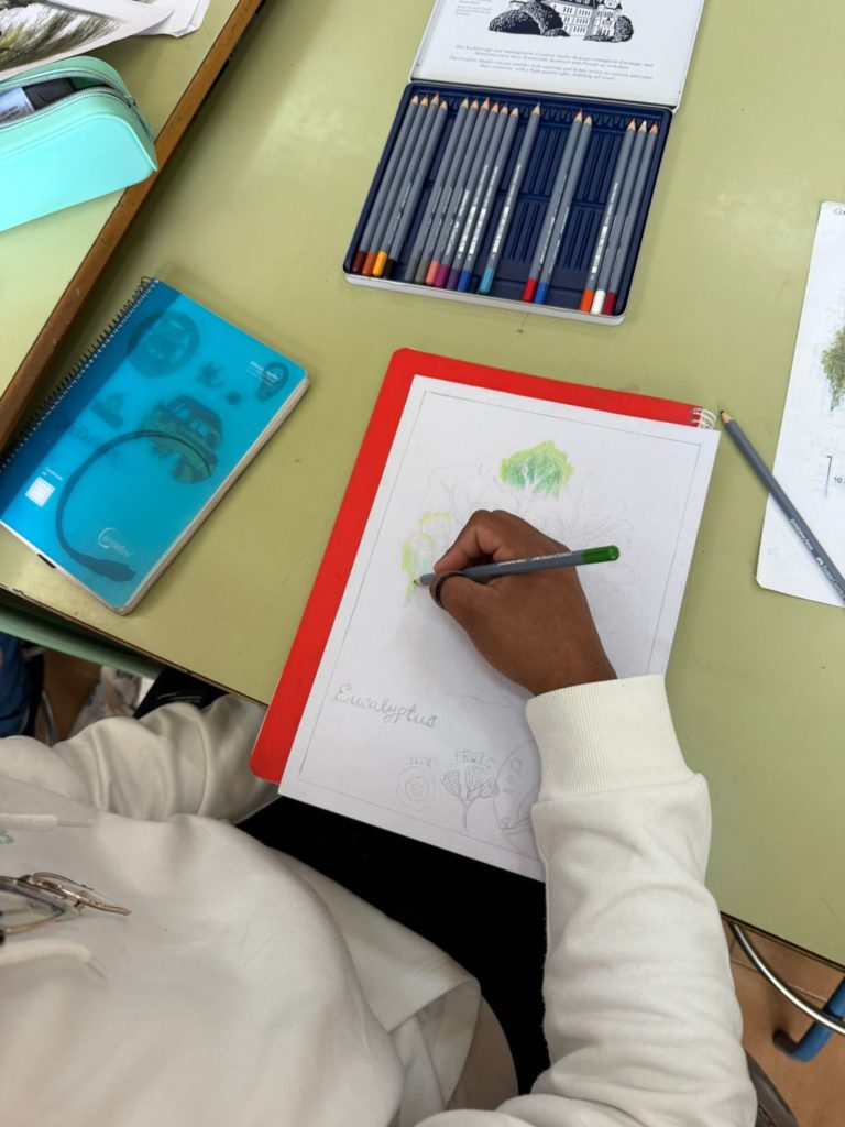 WhatsApp Image 2025-05-07 at 09.41.40 (4)