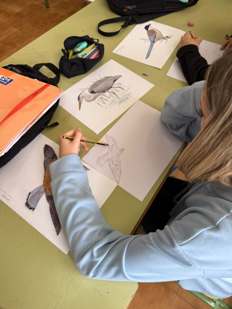 WhatsApp Image 2025-05-07 at 09.41.40