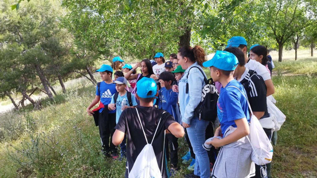 WhatsApp Image 2025-05-14 at 16.33.55